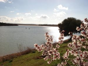 Le Lac d'El Omaria à Médéa