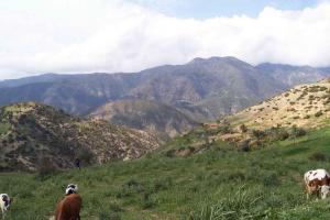 Route entre Kouala vers Tamesguida