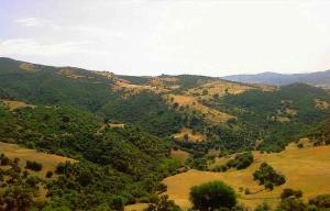 Paysage prés de Berrouaghia (Médéa)