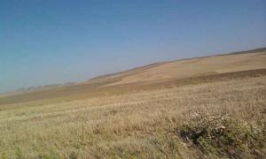 Champ Agricol de la Commune de Meftaha (Wilaya de Médéa)