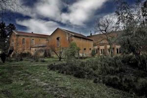 Monastère de Thiberine (Médéa)