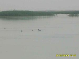 Près de Boughezoul (Wilaya de Médéa)