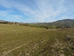 Payasage Pastoral , Commune de Berouaguia, Wilaya de Médéa