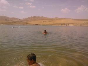 Bain d'été au Barrage de Boughezzoul (Médéa)