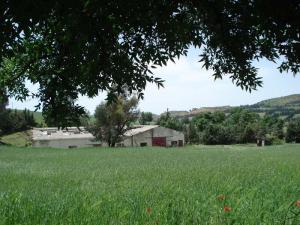 Hangar de Bovins Hamdania (Wilaya de Médéa)