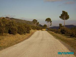 Route EL'HAMRA (Wilaya de Médéa)