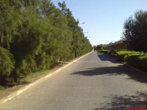 Route de campagne dans la périphérie de Médéa