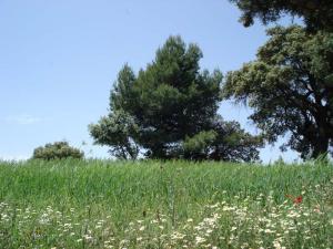 Le Printemps à Médéa