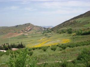 La Beauté de Médéa au Printemps