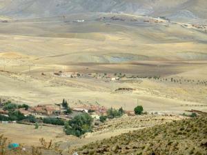 Champ de Blés de Médéa en été