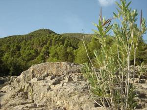 Médéa - Commune de Tamesguida