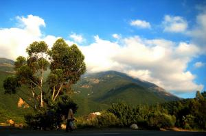 Paysage de Médéa au Printemps
