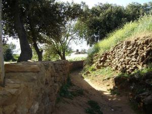 Médéa - Dakhla - R'mali