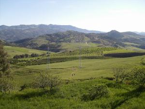 Paysage de Médéa au Printemps