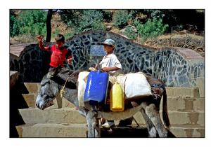 Vie Quotidienne à Médéa