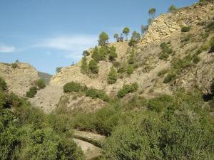 Médéa - Commune de Tamesguida