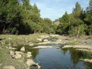 Médéa - Paysage de Tamesguida