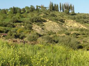 Paysage de Médéa au Printemps