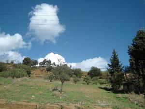 Paysage de Médéa au Printemps