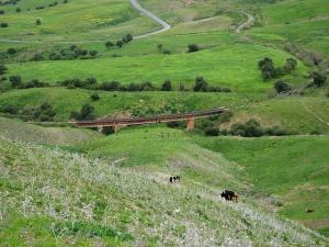 Commune de Tamesguida à Médéa