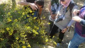 Atelier de la Photographie à Médéa