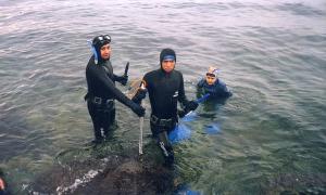 Sport aquatique OM Médéa