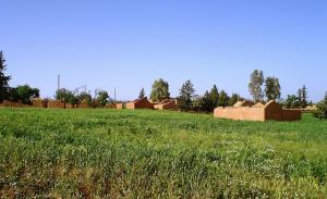 Maisons abandonnées de Sidi Naâmane à Médéa