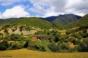 Paysage de Tamesguida (Wilaya de Médéa)