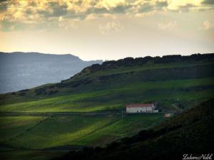 Champs Agricoles de Médéa