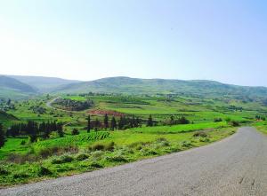 Paysage d'El Omaria (Wilaya de Médéa)