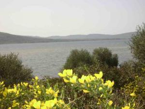 Lac el-Malah dans la commune d'el-Kala (El Taref)