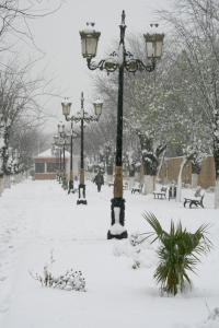 Boulevard ALN à Médéa