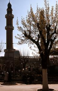 La Mosquée sur la Grande Place, Médéa