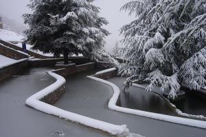 Parc Benchekaou (Wilaya de Médéa)