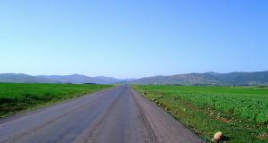 La Route de Sidi Naamane (Wilaya de Médéa)