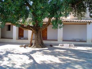 Cours de la zaouia Sidi Ali Ben Mohamed (Médéa)