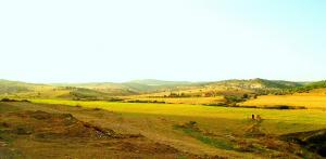 Paysage de Oued Cheir dans la commune de Berrouaghia (Médéa)
