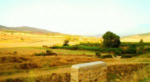 Paysage de Oued Cheir dans la Commune de Berrouaghia (Médéa)