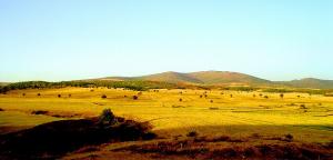 Région de Oued Cheir de la commune de Berrouaghia (Médéa)