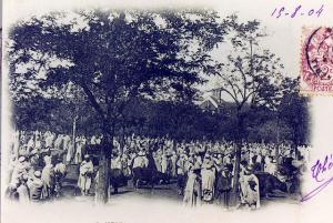 Le Marché de Bestiaux 19 -08 - 1904 (Médéa)