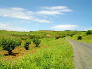 Hauteurs de Si El Mahdjoub à Médéa