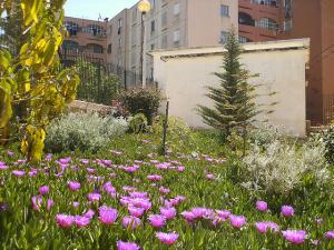 Un Jardin de Médéa