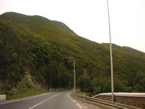 La Forêt de Médéa au Printemps