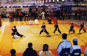 Ecole de Kung Fu à Médéa