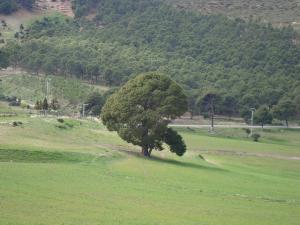 Paysage de Médéa au Printemps
