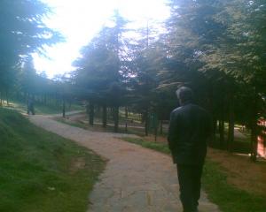 Parc Benchicao à Médéa