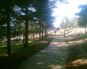 Parc de Benchicao (Wilaya de Médéa)