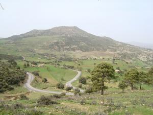 Paysage d'Ain Dalia près de Médéa