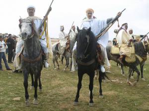 Fantazia à Hannacha (Médéa)