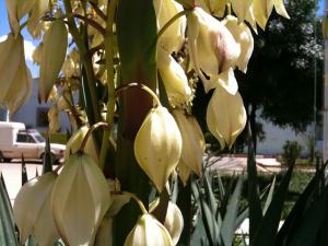 Entrée du Centre de Formation Professionnel de Tissemssilt